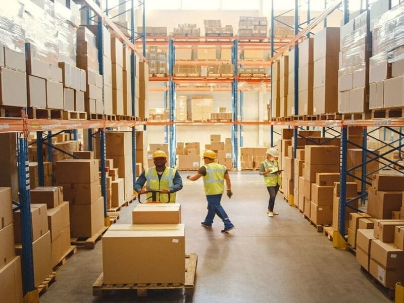 Hệ thống vật tư đóng gói đạt chuẩn (Packaging Materials)