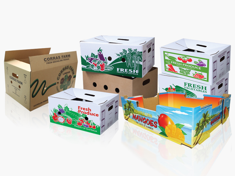 Bao bì giấy in offset không chỉ là giải pháp đóng gói mà còn là công cụ quảng bá thương hiệu đắc lực