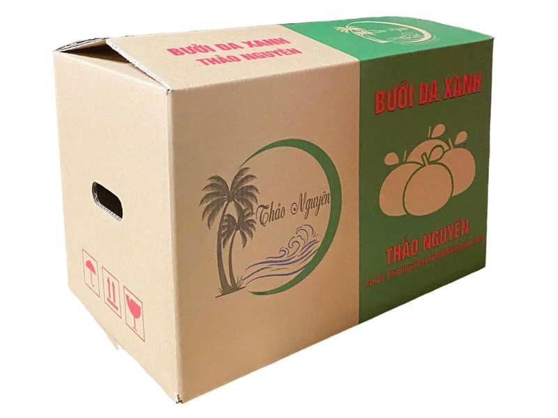 Chất lượng in của hộp giấy phụ thuộc vào nhiều yếu tố
