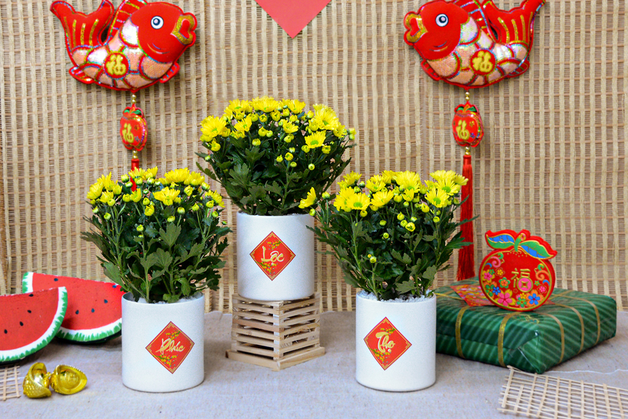 Hoa cúc là biểu tượng của sự sống và mang lại hạnh phúc, niềm vui vào nhà