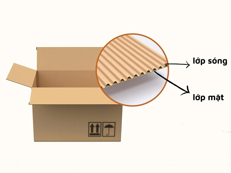 Thùng carton 2 lớp là gì và cấu tạo chi tiết